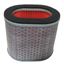 Picture of Air Filter for 2008 Honda NT 700 V8 Deauville