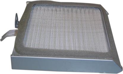 Picture of Air Filter for 1986 Suzuki LS 650 FG 'Savage' (NP41A)