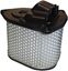 Picture of Air Filter for 2005 Suzuki VL 1500 K5 C1500 Intruder (EFI)
