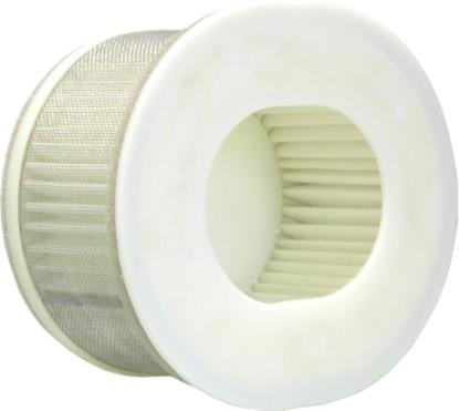 Picture of Air Filter for 2002 Yamaha FZS 1000 Fazer (5LV8)