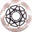 Picture of Disc Front Kawasaki ZZ-R1400 06-07, GTR1400 08
