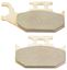 Picture of Brake Disc Pads Rear R/H Goldfren for 2010 Yamaha YFM 700 RZ Raptor (1AS3/1AS6)