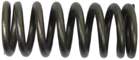 Picture of Clutch Spring Kit for 2010 Suzuki GS 500 F-L0 (GM51A) (Fully Faired Model) (USA Model)