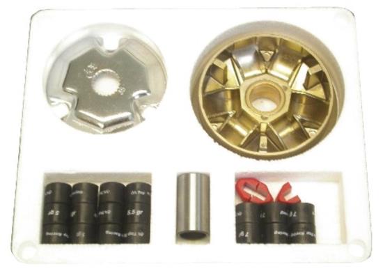 Picture of Speed Variator Kit for 2009 Aprilia SR 50 R Factory (L/C)