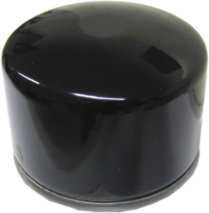 Picture of MF Oil Filter (C) BMW F800 09 (HF165)