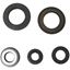 Picture of Oil Seal Kit Yamaha XT600Z