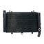 Picture of Radiator Honda CBR1000F 1992-1999 (Made In Japan)