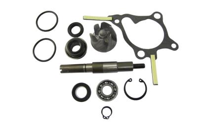 Picture of Water Pump Repair Kit Honda FES250 Foresight
