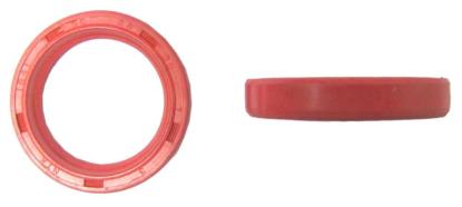 Picture of Fork Oil Seals for 2008 Malaguti Ciak 50 Master (4T)