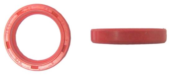 Picture of Fork Oil Seals for 2008 Aprilia Scarabeo 50 Street