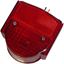 Picture of Taillight Complete for 1997 Honda C 50 V (Single Seat Model)