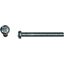 Picture of Screws Pan Head 3mm x 12mm(Pittch 0.50mm) (Per 20)