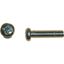 Picture of Screws Pan Head 4mm x 45mm(Pitch 0.70mm) (Per 20)