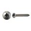 Picture of Screws Pan Head Self Taper Large Head S/less Steel 4mm x 30m (Per 20)