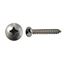 Picture of Screws Pan Head Self Taper Large Head S/less Steel 6mm x 20m (Per 20)