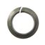 Picture of Washers Spring Stainless Steel 5mm ID x 8mm OD (Per 20)