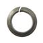 Picture of Washers Spring Stainless Steel 12mm ID x 18.5mm OD (Per 20)