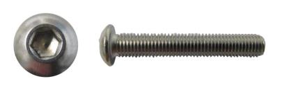 Picture of Screws Button Allen Stainless Steel 8mm x 20mm(Pitch 1.25mm) (Per 20)