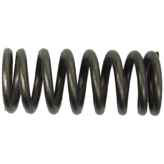 Picture of Clutch Spring Kit for 1999 Kawasaki KMX 125 A12