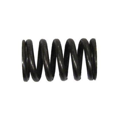 Picture of Clutch Spring Kit for 2009 Honda CRF 450 R9