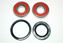 Picture of Wheel Bearing Kit Front NT650 98-05  WBK-378 Kit