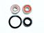 Picture of Wheel Bearing Kit Front CBF125 09-13 CG125 04-08 XL125 WBK-412