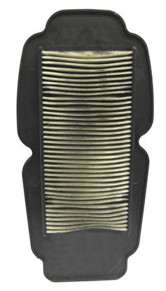 Picture of Air Filter Honda XL125V7-V9 07-11 (Fuel Injection Model)