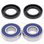 Picture of  Wheel Bearing Kit Front Hon VFR800 98-15, CBR650 14-18