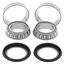 Picture of Steering Bearing Kit Honda CB250 91-08, CB125S76-85.MT50 93-96, CRF50R 0