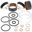 Picture of Fork Bushing Kit Suz DL1000 V-Strom 02-12, Triumph Tiger 800 15-16