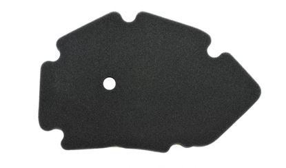 Picture of Athena Air Filter Gilera Runner VX 125 00-01, Piaggio X9 125 01-02 (Single)