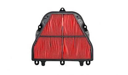 Picture of Air Filter Triumph 675 Daytona 06-10, 675 Street Triple 08-10 (HFA6505. T2208164) (Single)
