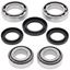 Picture of WRP Differential Bearing and Seal Kit Front Kawasaki KLF300C Bayou 4x4 89-05, KLF400 Bayou 93-99 (Kit)