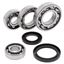 Picture of WRP Differential Bearing and Seal Kit Rear Kawasaki KLF185 Bayou 85-88, KLT160 1985, KLT185 86-87 (Kit)