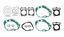Picture of Gasket Set Full for 2007 Suzuki SV 650 A-K7 (Naked/ABS)