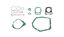 Picture of Gasket Set Full for 2007 Yamaha YFM 350 RW Raptor (10P1)