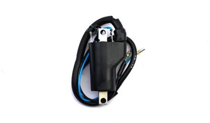 Picture of Ignition HT Coil 12v DC 2 Wires (90mm)
