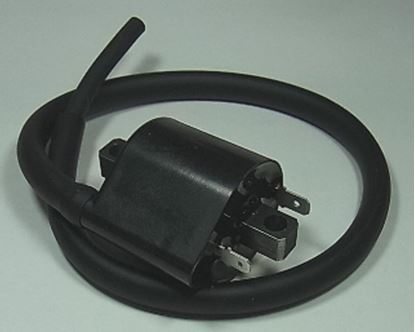 Picture of TourMax Ignition HT Coil Suzuki 33410-06G00 17G00 33420-41F10 IGN-303
