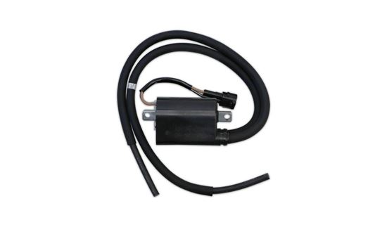 Picture of Ignition HT Coil Suz 33410-17GA0 27G00 33420-17G00 27G00 IGN-314