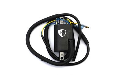 Picture of Ignition HT Coil 12v Points Twin Lead (100mm) Boyer Bransden Sty