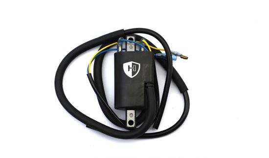 Picture of Ignition HT Coil 12v Points Twin Lead (100mm) Boyer Bransden Sty