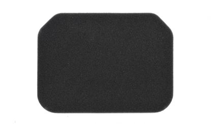 Picture of Air Filter for 1998 Suzuki AN 250 W Burgman