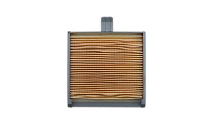 Picture of Air Filter for 2009 Suzuki LS 650 K9 'Savage'