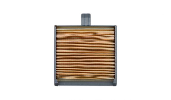Picture of Air Filter for 2009 Suzuki LS 650 K9 'Savage'