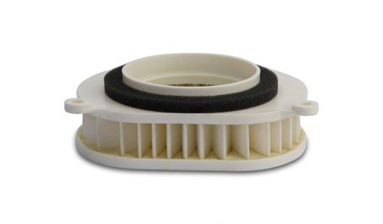 Picture of Air Filter for 2000 Yamaha XVS 125 Dragstar (5JX1)