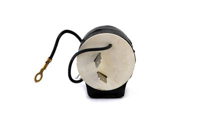 Picture of Flasher Can Relay 12v 2 Pin use with LED indicators