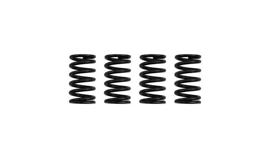 Picture of Clutch Spring Kit for 2007 Suzuki VL 125 K7 Intruder