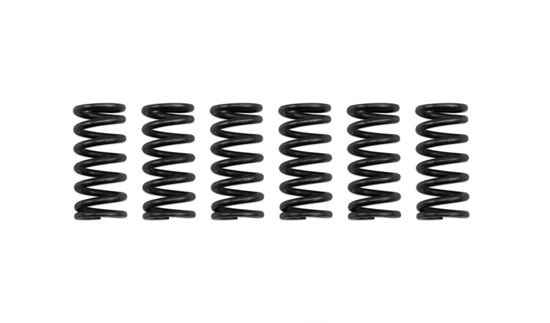 Picture of Clutch Spring Kit for 2007 Honda XR 650 R7