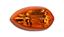 Picture of Indicator Lens Yamaha YZF R1 09-10 F/R & R/L (Amber) (single)