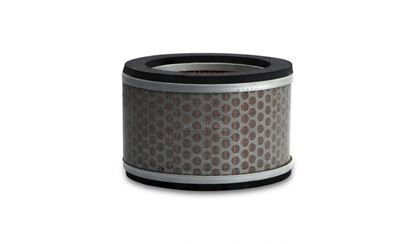 Picture of Air Filter Honda VT125, VS125 99-00